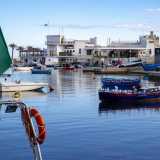 ...emblema che descrive al meglio il legame dello storico Barion con l�Adriatico